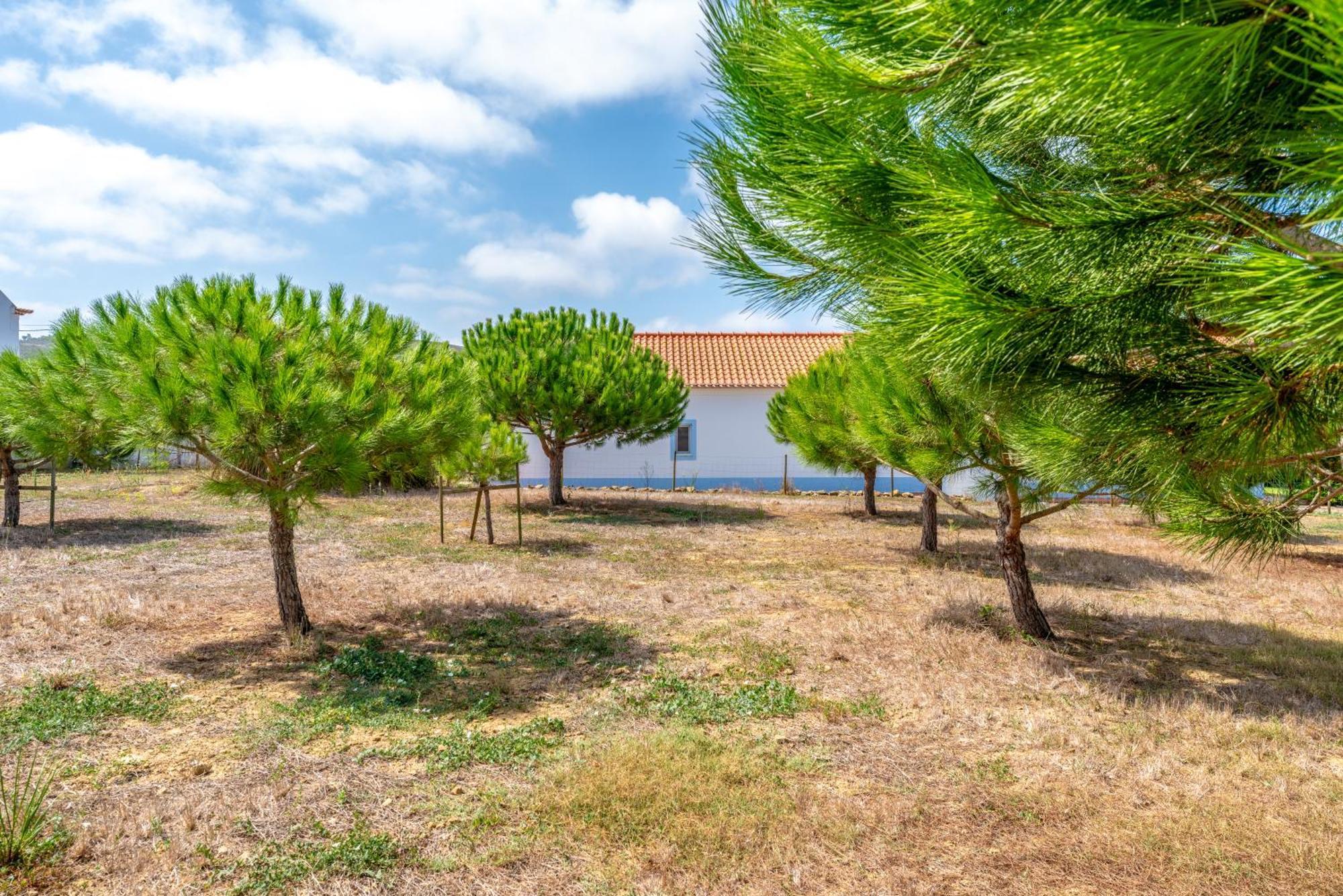 Quinta Da Bela Vista - Ericeira Villa Galiza Kültér fotó